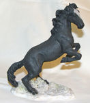 Image de Black Horse