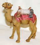 Picture of Camel