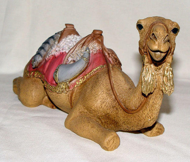 Image de Camel