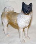 Image de Akita Dog