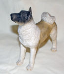 Image de Akita Dog