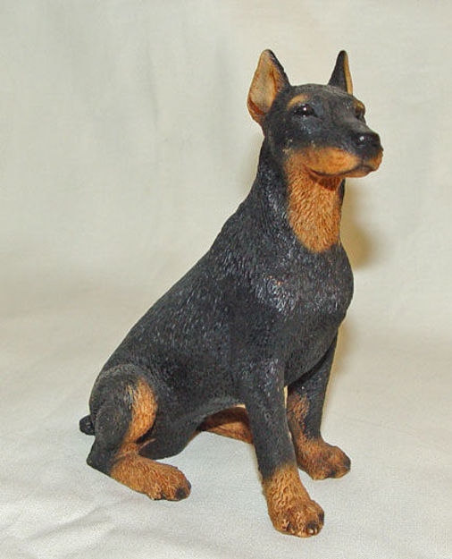 Image de Dog - Doberman