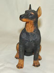 Picture of Dog - Doberman