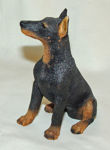 Image de Dog - Doberman