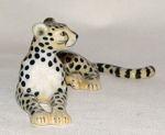 Image de Leopard
