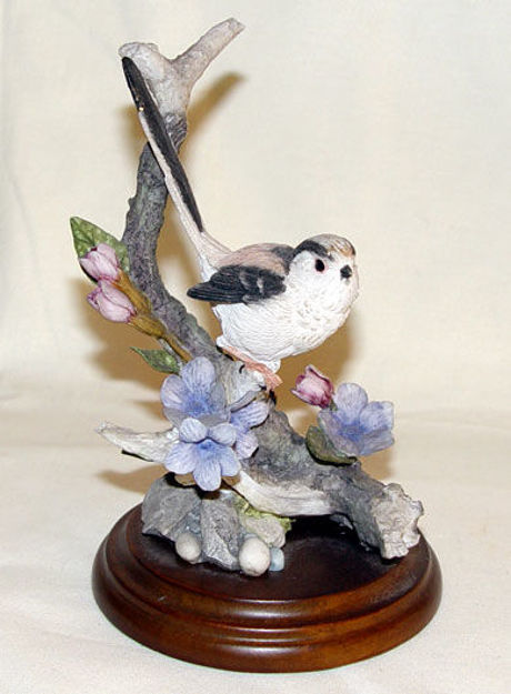 Image de Long Tailed with Lungwort
