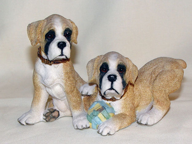 Image de Max & Morgan - Boxers