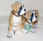Image de Max & Morgan - Boxers