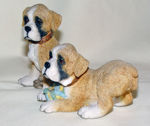 Image de Max & Morgan - Boxers