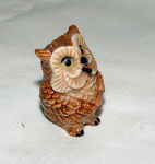 Picture of Owl