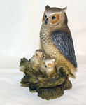 Image de Owl