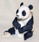 Picture of Panda