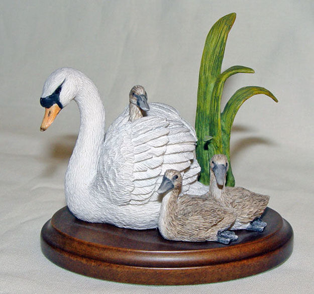 Image de Swan with Cygnets