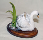 Image de Swan with Cygnets