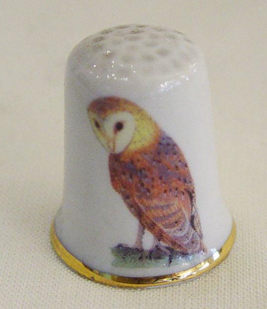 Image de Thimble barn owl