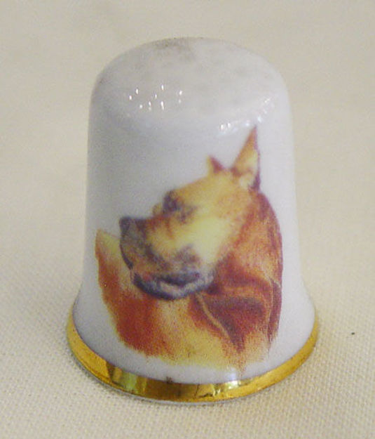 Picture of Thimble dog