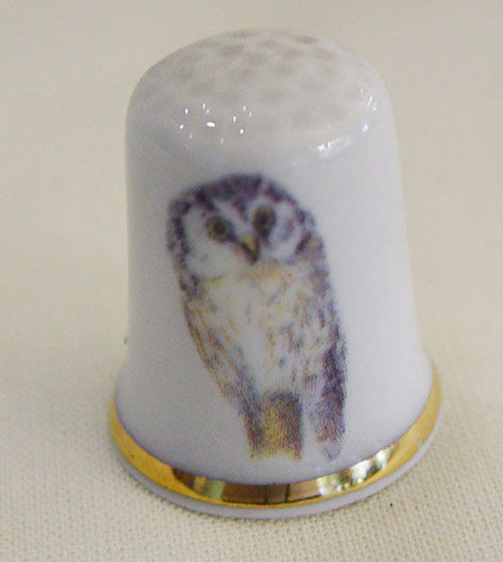 Picture of Thimble Owl