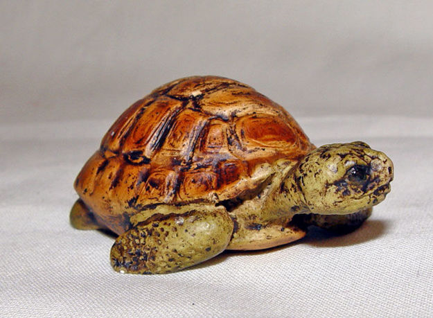 Image de Turtle