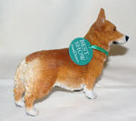 Picture of Welsh Corgi