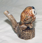 Picture of Wistle Bird