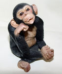 Image de 133/5000 3 petits singes   - Je ne vois pas - je n'entends pas - je ne parle pas