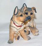 Picture of Alsatian Puppy - German Shepherd