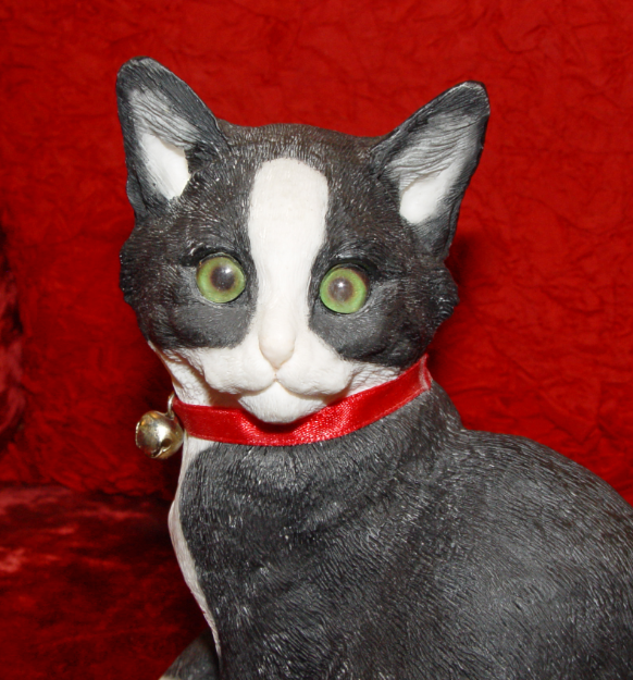 Image de Cat - Kitten Sitting - Black & White