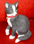 Image de Cat - Kitten Sitting - Black & White