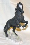 Image de Black Horse