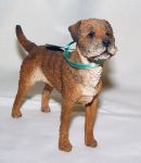 Picture of Border Terrier