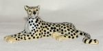 Image de Leopard
