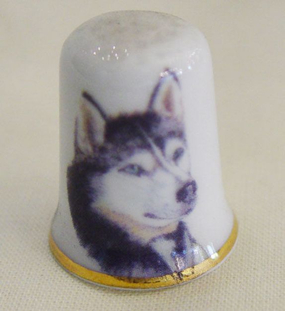 Picture of Thimble dog