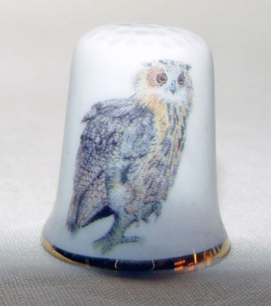 Picture of Thimble Owl